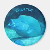 Grote blauwe vis magneet (Voorkant)