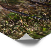 Grote blauwe watervogel in de hele wereld poster (Hoek)