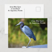 Grote blauwe zilverreiger feestdagenkaart (Voorkant / Achterkant)