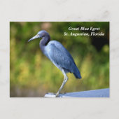 Grote blauwe zilverreiger feestdagenkaart (Voorkant)