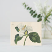 Grote blote trillium briefkaart (Staand voorkant)