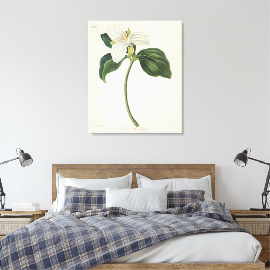 Grote blote trillium canvas afdruk (Insitu (Slaapkamer))