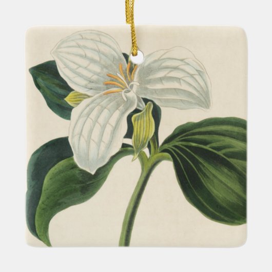 Grote blote trillium keramisch ornament (Voorkant)