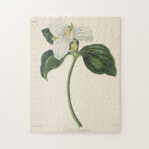 Grote blote trillium legpuzzel
