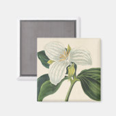 Grote blote trillium magneet (Voorkant / Achterkant)