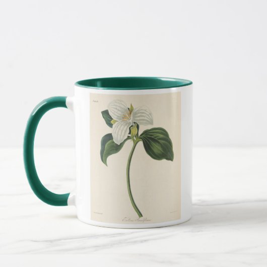 Grote blote trillium mok (Links)