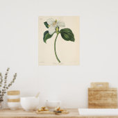 Grote blote trillium poster (Keuken)