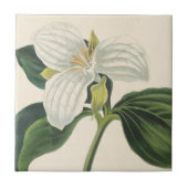 Grote blote trillium tegeltje (Voorkant)