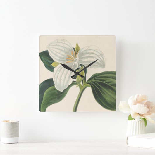 Grote blote trillium vierkante klok (Huis)