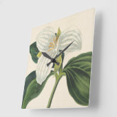 Grote blote trillium vierkante klok (Hoek)