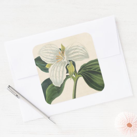 Grote blote trillium vierkante sticker (Envelop)