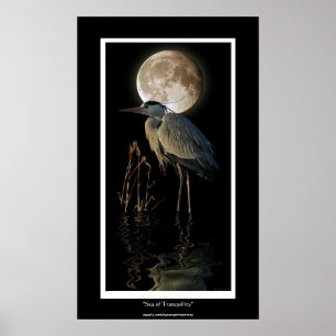 GROTE BLUE HERON, REEDS & MOON Art afdrukken Poster