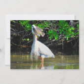 Grote Blue Heron's Lunch Flat Kaart (Voorkant)