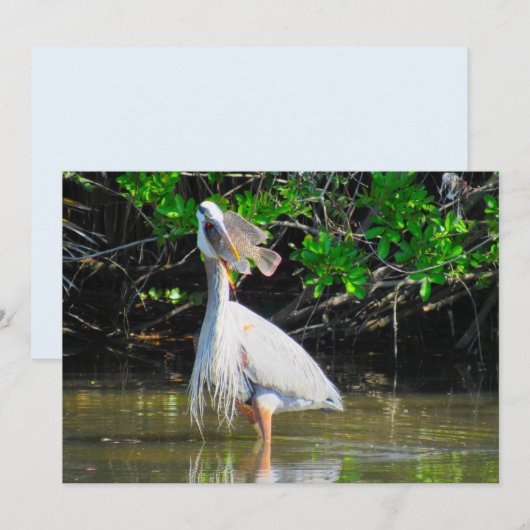 Grote Blue Heron's Lunch Flat Kaart (Voorkant / Achterkant)