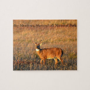 Grote Bock, Big Meadows, Shenandoah National Park Legpuzzel