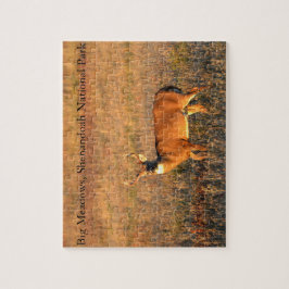 Grote Bock, Big Meadows, Shenandoah National Park Legpuzzel