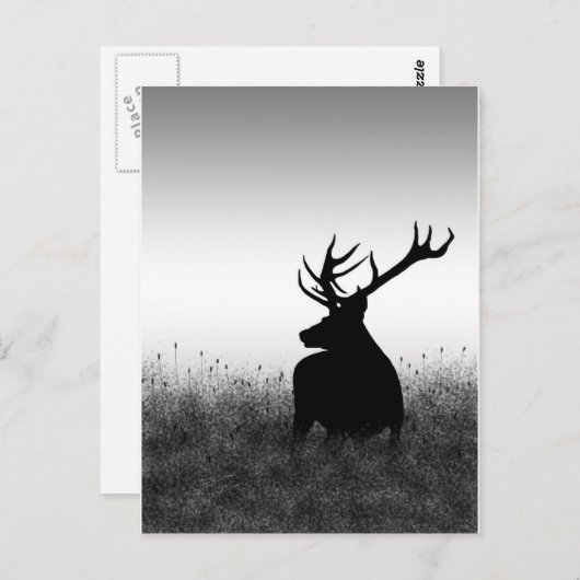 Grote Bok Briefkaart (Voorkant / Achterkant)