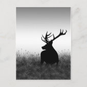 Grote Bok Briefkaart (Voorkant)