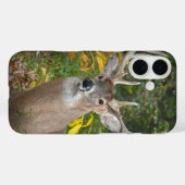 Grote bok in het bos Case-Mate iPhone case (Achterkant (horizontaal))