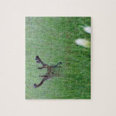 Grote bok in hoog gras legpuzzel (Verticaal)