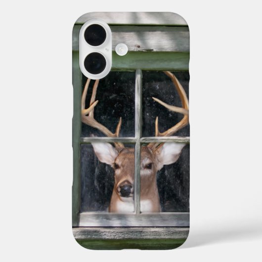 grote bok in landelijk raam Case-Mate iPhone case (Achterkant)