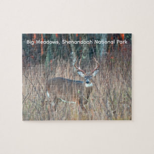 Grote bok, Shenandoah National Park Legpuzzel