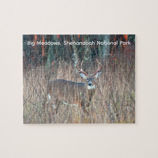 Grote bok, Shenandoah National Park Legpuzzel (Horizontaal)