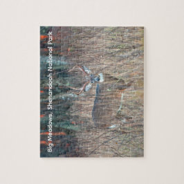 Grote bok, Shenandoah National Park Legpuzzel