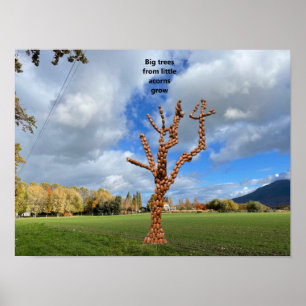 Grote bomen groeien uit kleine eikels. poster
