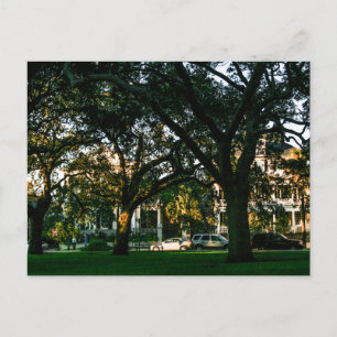 Grote bomen in het centrum van Charleston, South C Briefkaart
