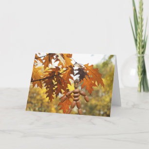 Grote bomen van kleine eikels groeien. kaart