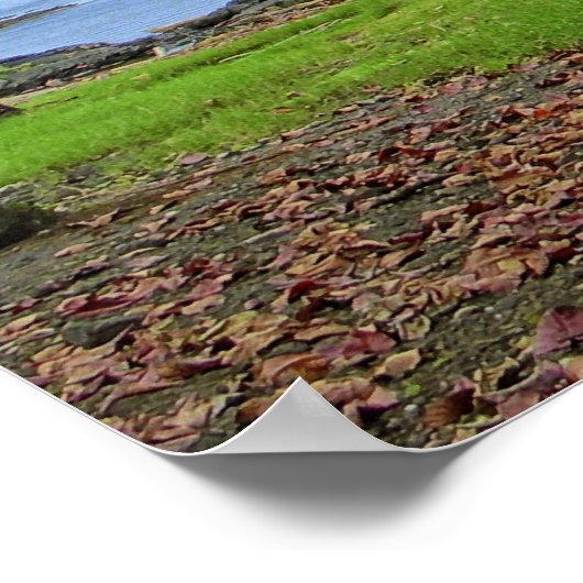 GROTE BOMEN VAN ZUID-HIAO BAY - HAWAII POSTER (Hoek)