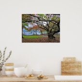 GROTE BOMEN VAN ZUID-HIAO BAY - HAWAII POSTER (Keuken)