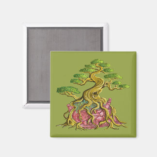 Grote bonsai in zijn gebroken vaas magneet