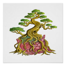 Grote bonsai in zijn gebroken vaas
