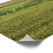 Grote boom in een Plattelandsveld Kleur 16x20 Poster (Hoek)