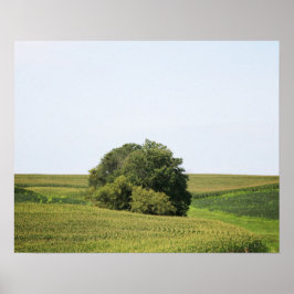Grote boom in een Plattelandsveld Kleur 16x20 Poster