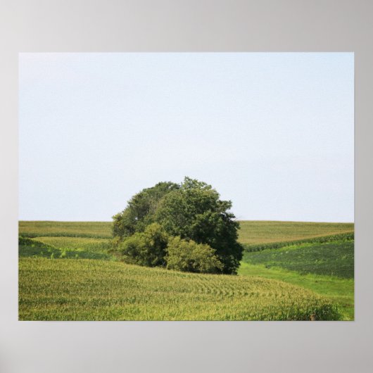 Grote boom in een Plattelandsveld Kleur 16x20 Poster (Voorkant)
