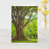 Grote boom in het park kaart (Gele Bloem)