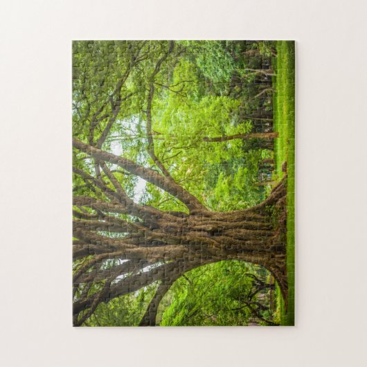 Grote boom in het park legpuzzel (Verticaal)