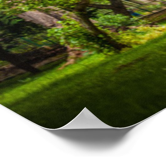 Grote boom in het park poster (Hoek)