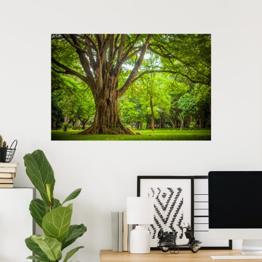 Grote boom in het park poster (Thuiskantoor)