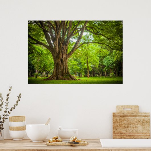 Grote boom in het park poster (Keuken)