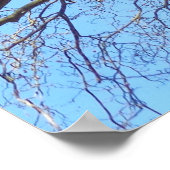 Grote boom met veel takken in de lucht, Natuur Poster (Hoek)