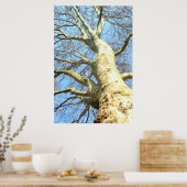 Grote boom met veel takken in de lucht, Natuur Poster (Keuken)