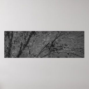 Grote boom zwart-wit panoramische foto poster