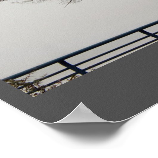 Grote boomfoto poster (Hoek)