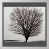 Grote boomfoto poster (Voorkant)