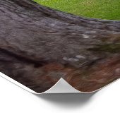 grote boomtak poster (Hoek)