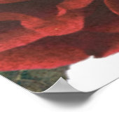 Grote botanische Rozen Welkomstteken bruiloft Poster (Hoek)